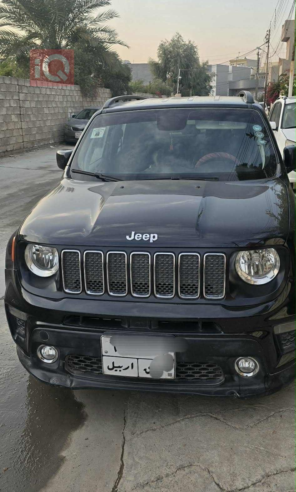 جيب رينيجيد